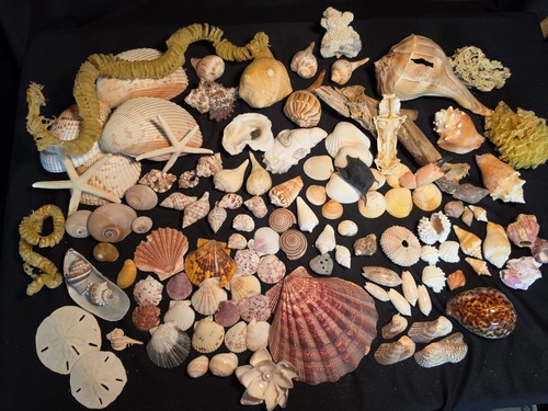 Large lot assorted - lot, of