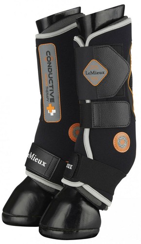 Lemieux conductive magno - lemieux,