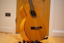 Flamenco Blanca Guitar -