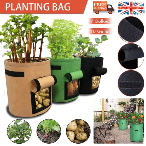Gallon plant growing bags - gallon,