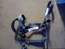 Monty Roberts Medium Dually