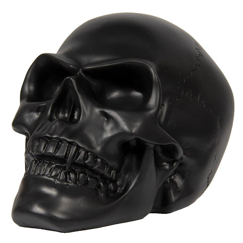 Skull head ornament 19cm large - ornament,