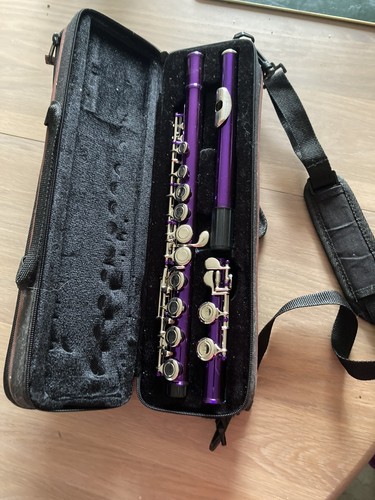 Purple musical flute - , 16