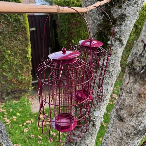 Hanging squirrel proof peanut - proof,
