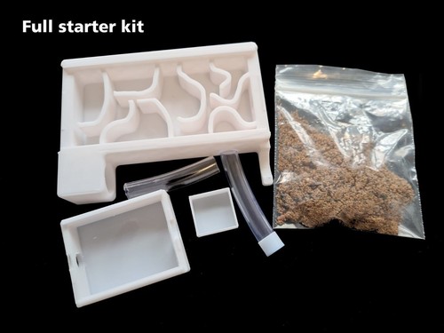 Ant keeping starter