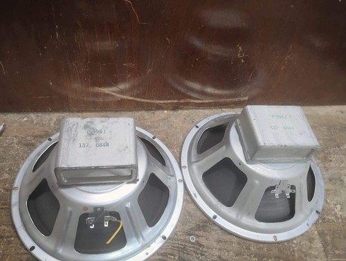 Vintage matched pair alnico - matched, of