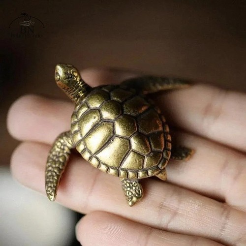 Small brass turtle solid - -,