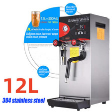 12L Commercial 4-in-1 Steam