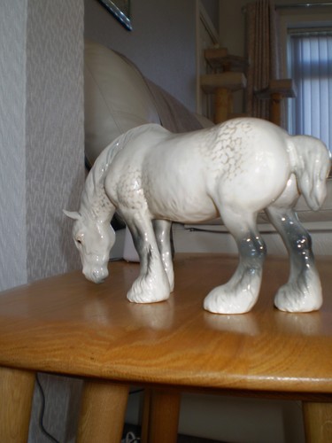 Beswick grazing shire 1050 - grazing, in
