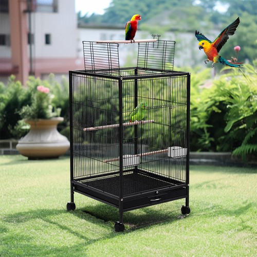 Metal bird cage for - bird,