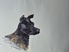 Patterdale Terrier Watercolour
