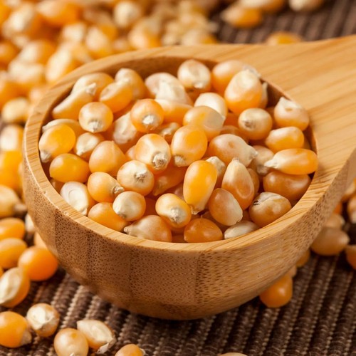 Popcorn pop corn - corn, maize