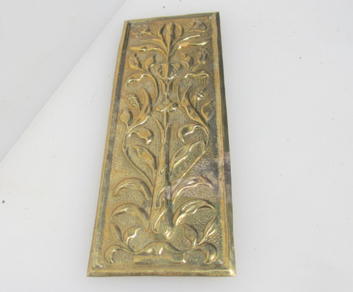Brass finger plate - plate, door