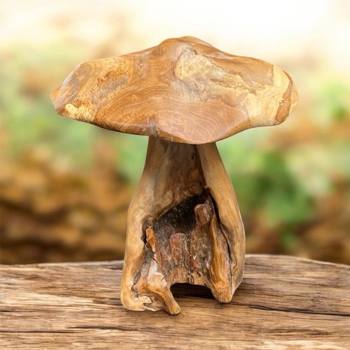 Chiselcraft large teak - large, root