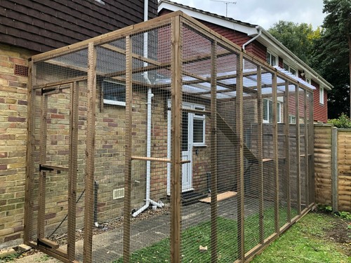 Large catio cat run 12ft - cat,