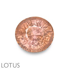 LOTUS & IGI Certified