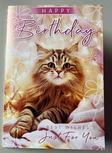 Maine coon cute kitten - cute, cat
