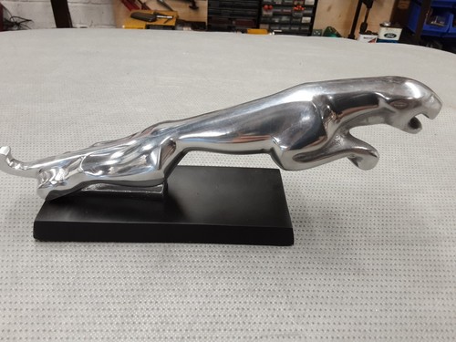 Jaguar mascot mancave - jaguar,