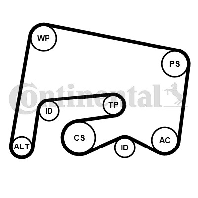 Continental ctam 6pk2155k1 - ctam,