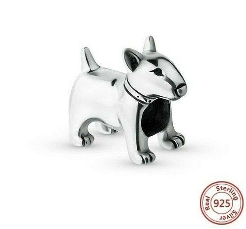 English bull terrier - 💖,
