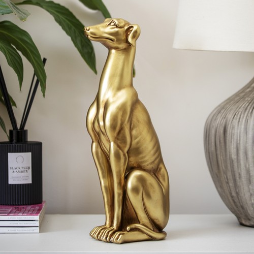 Golden sitting greyhound dog - greyhound,
