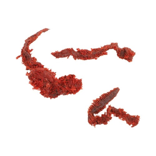 85g for semi dried - for, lugworm