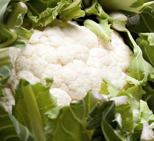 Cauliflower igloo plant - cauliflower,