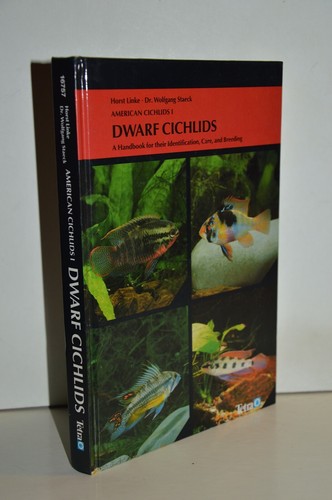 Dwarf cichlids american - dwarf,