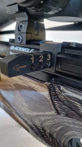 Daystate blackwolf shot - 5,