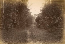 Cart Road To Repas Bentong