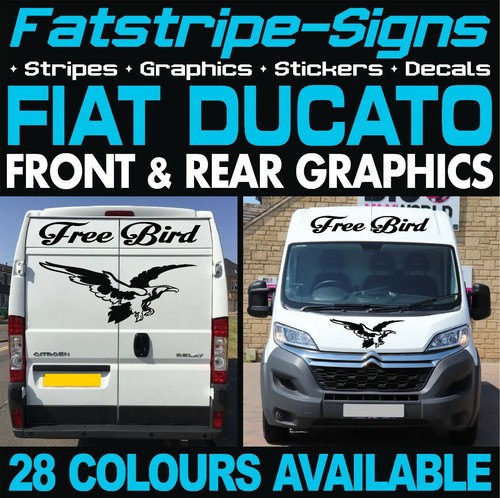 Fits fiat ducato graphics - fits,