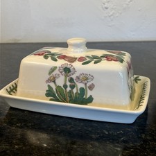 Portmeirion Botanic Garden