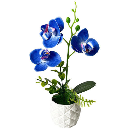 Low maintenance fake orchid - maintenance,