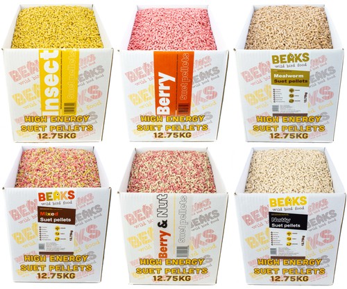 Premium suet pellets for - , all
