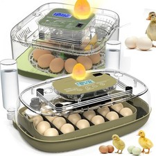 12-24 Eggs Incubator
