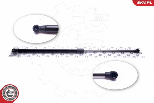 Fits skv germany - fits,