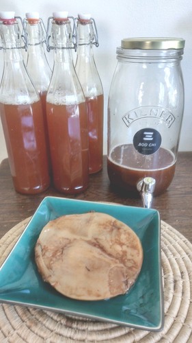Kombucha scoby starter - kombucha, &