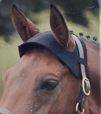 Poll Guard (Head Bumber) Neoprene Black