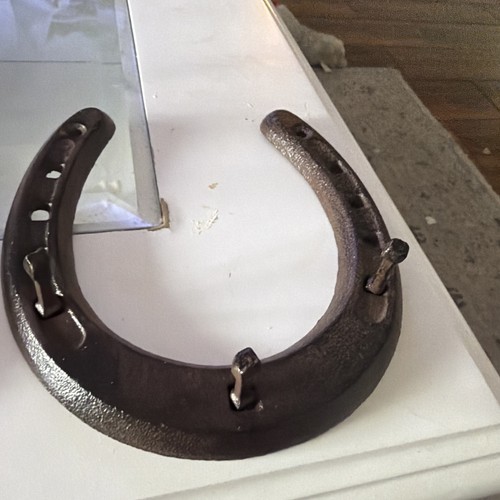 Horseshoe hook leash - leash, key