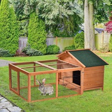Wooden Rabbit Hutch, Guinea
