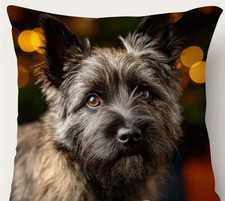 Super Soft Double Sided Cairn