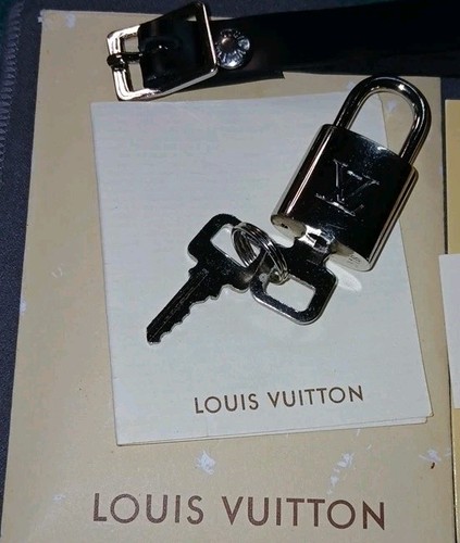 Louis vuitton silver tone - silver,