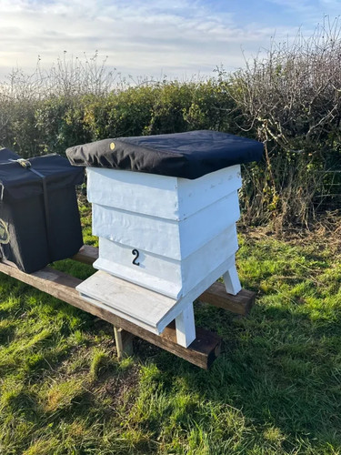 Wbc apex hive - apex, keeping