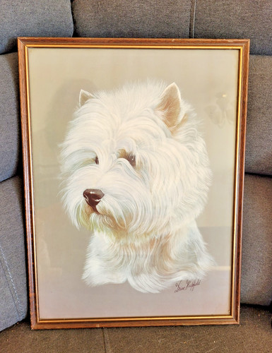 West highland terriers - highland, 3
