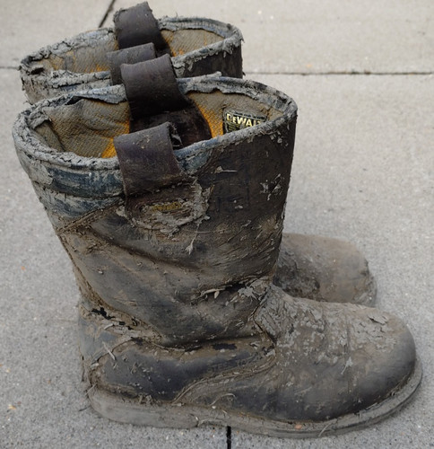 Mens brown dewalt gyw - mens,