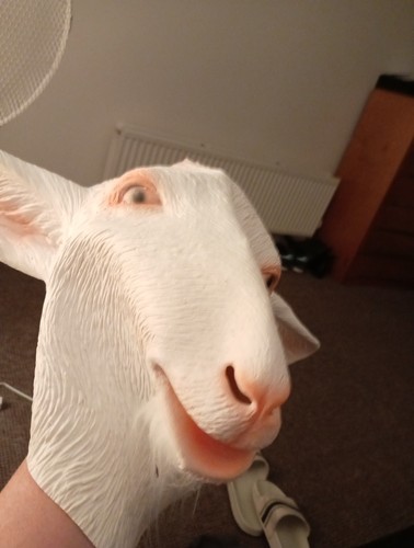 Goat sheep mask animal - goat,