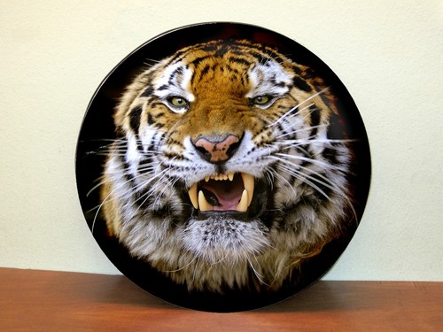 Tiger wheel ture cover - ,