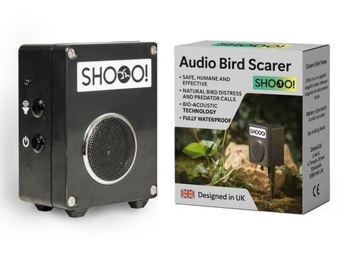 Audio bird scarer - audio, pigeons