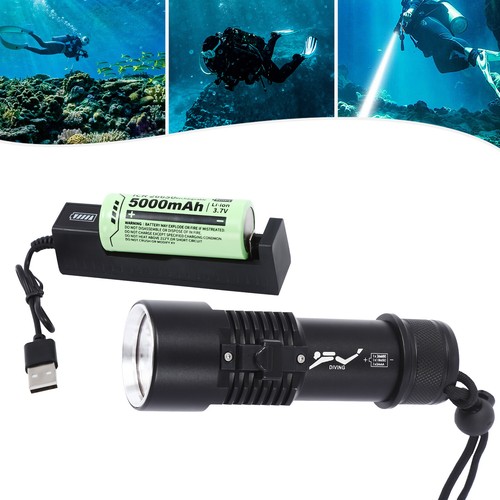Dive light torch underwater - dive,