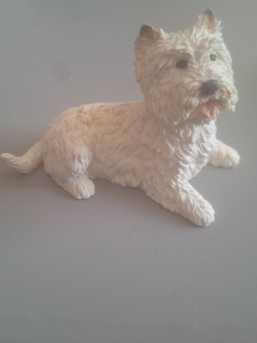 Castagna 1988 westie - castagna, dog